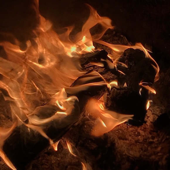 Meet your Posher, Arianna - Picture 1 of 1